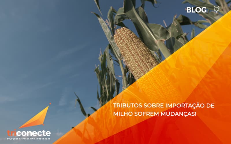 Tributos sobre importação de milho sofrem mudanças! - Triconecte