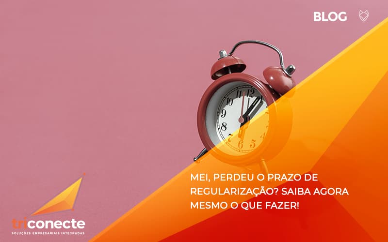 MEI, perdeu o prazo de regularizaçãoSaiba agora mesmo o que fazer!- Triconecte