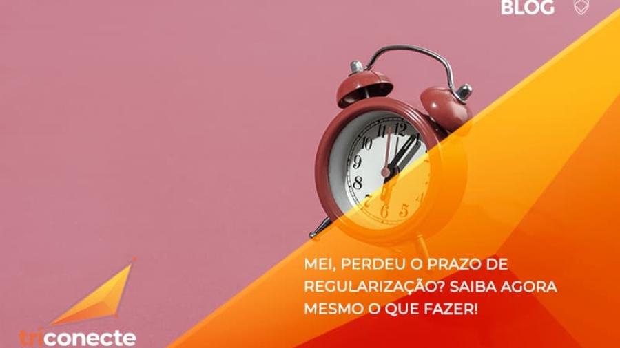 MEI, perdeu o prazo de regularizaçãoSaiba agora mesmo o que fazer!- Triconecte