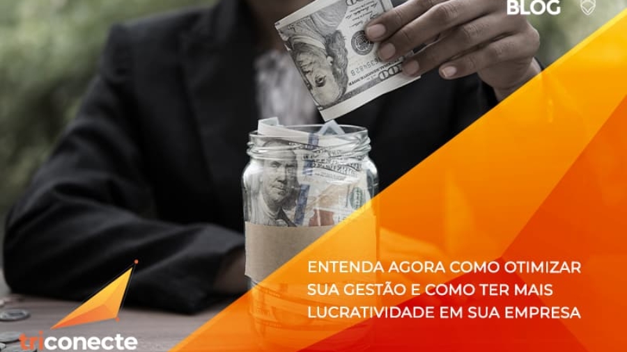 Entenda agora como otimizar sua gestão e como ter mais lucratividade em sua empresa - Triconecte