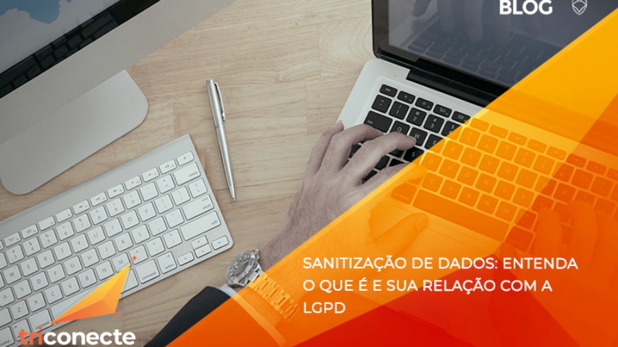 Sanitização de dados: entenda o que é e sua relação com a LGPD