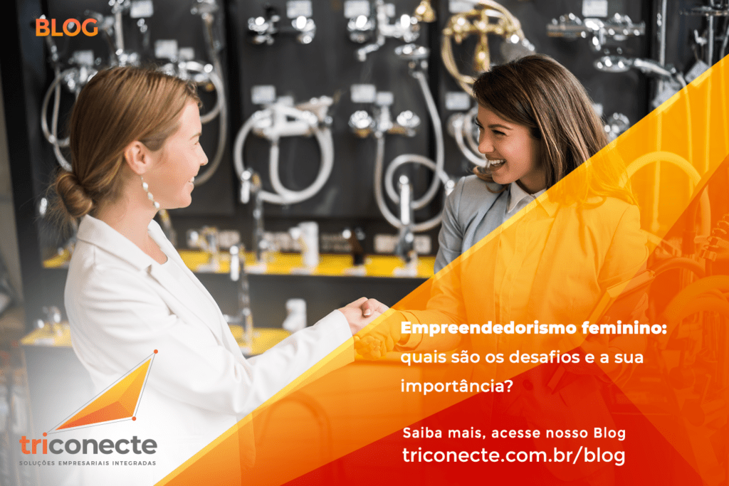 Empreendedorismo Feminino