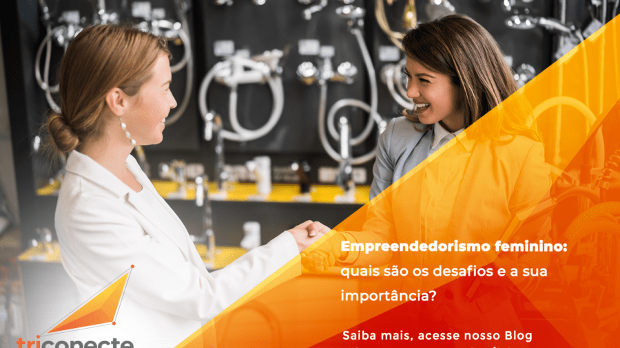 Empreendedorismo Feminino