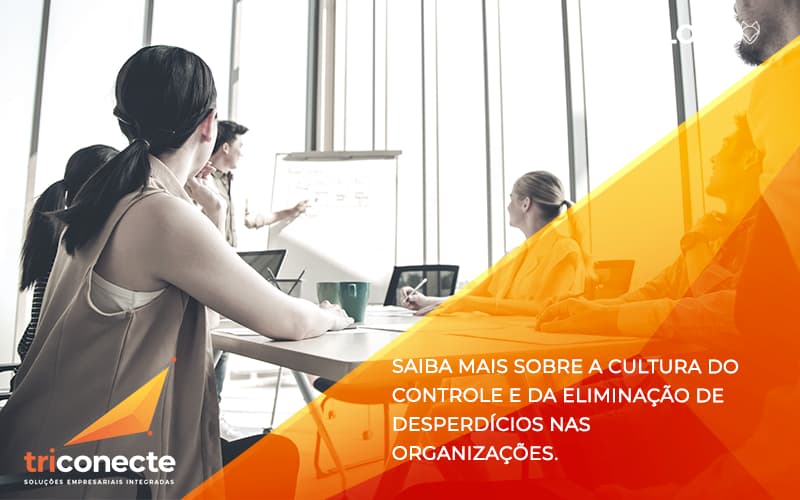 Saiba Mais Sobre A Cultura Do Controle E Da Elimina O De Desperd Cios Nas Organiza Es